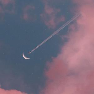 神宫寺和叔父才知最绝项
